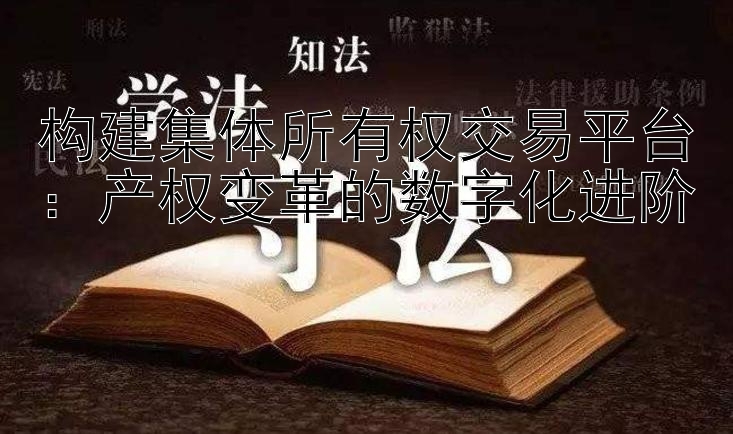 构建集体所有权交易平台：产权变革的数字化进阶