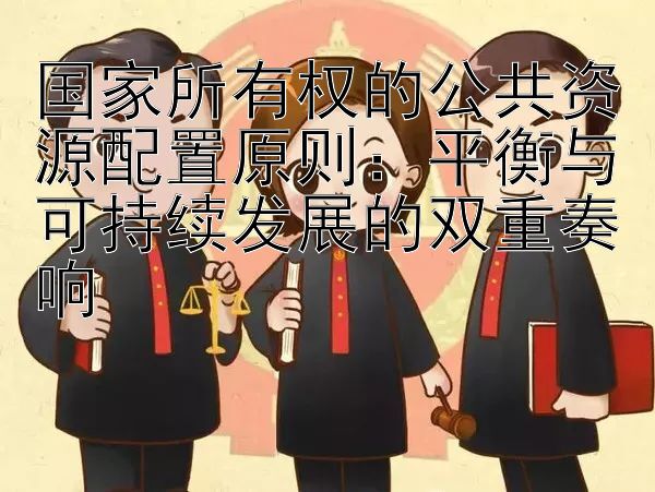 国家所有权的公共资源配置原则：平衡与可持续发展的双重奏响