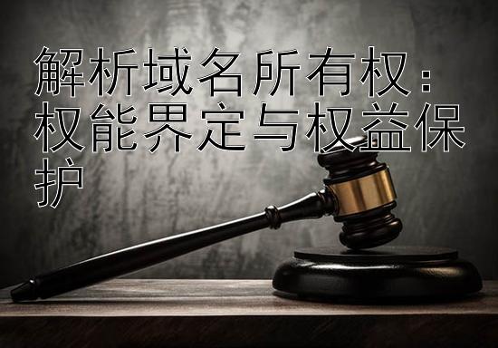 解析域名所有权：权能界定与权益保护