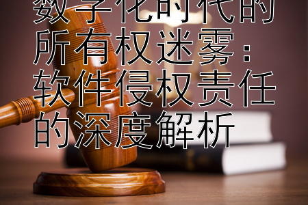 数字化时代的所有权迷雾：软件侵权责任的深度解析