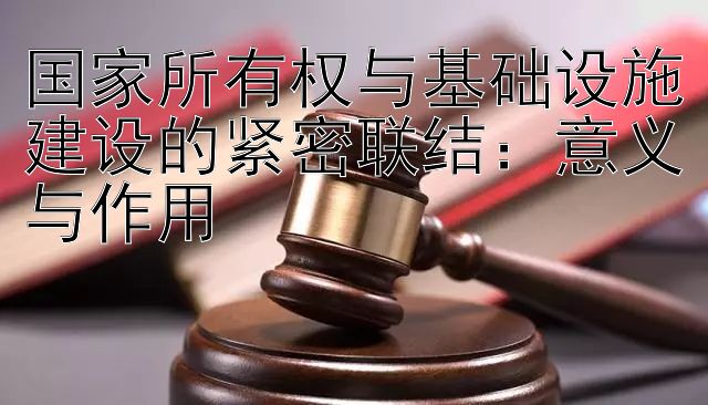 国家所有权与基础设施建设的紧密联结：意义与作用