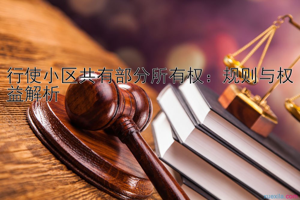 行使小区共有部分所有权：规则与权益解析