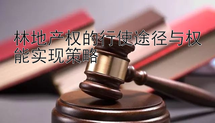 林地产权的行使途径与权能实现策略