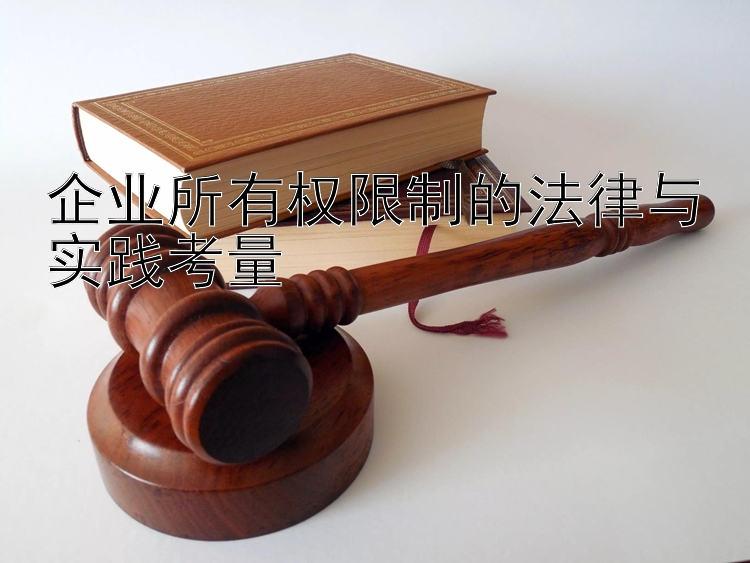 企业所有权限制的法律与实践考量