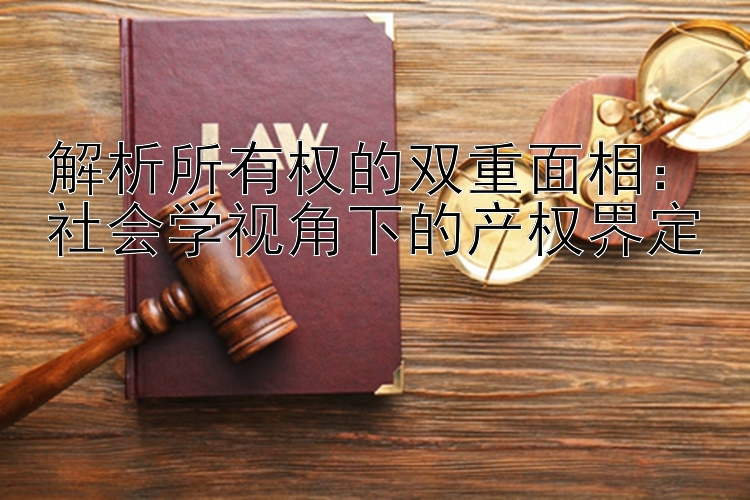 解析所有权的双重面相：社会学视角下的产权界定