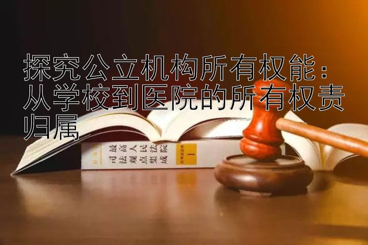 探究公立机构所有权能：从学校到医院的所有权责归属