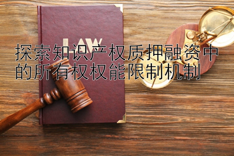 探索知识产权质押融资中的所有权权能限制机制