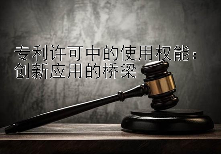 专利许可中的使用权能：创新应用的桥梁