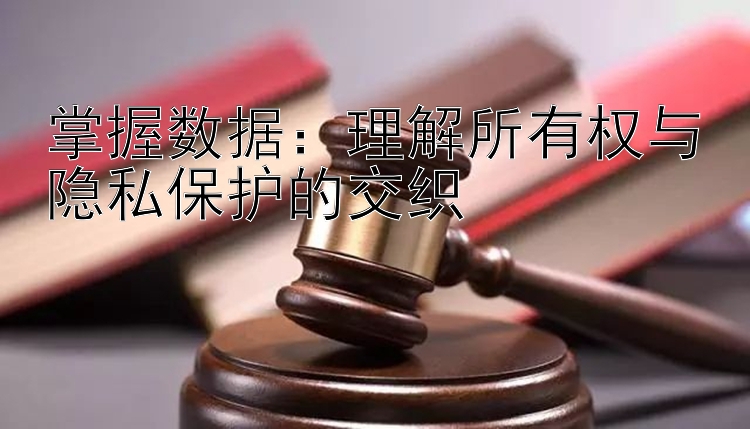 掌握数据：理解所有权与隐私保护的交织