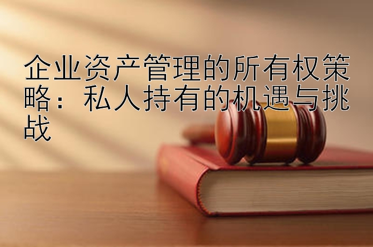 企业资产管理的所有权策略：私人持有的机遇与挑战