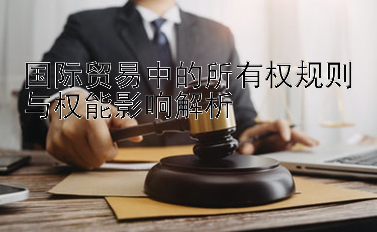 国际贸易中的所有权规则与权能影响解析