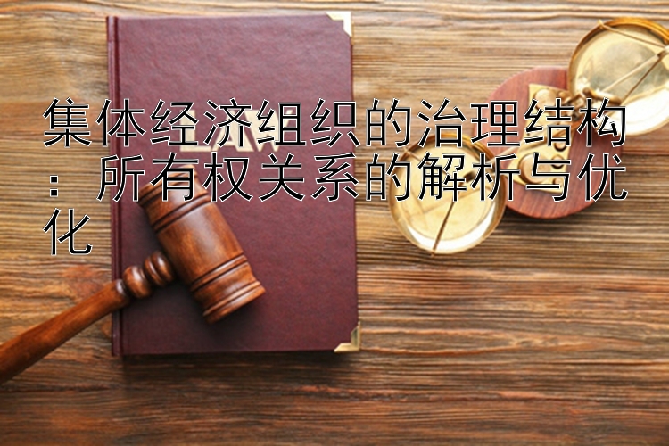 集体经济组织的治理结构：所有权关系的解析与优化