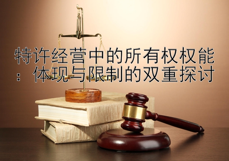 特许经营中的所有权权能：体现与限制的双重探讨