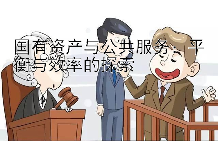 国有资产与公共服务：平衡与效率的探索