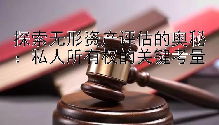 探索无形资产评估的奥秘：私人所有权的关键考量