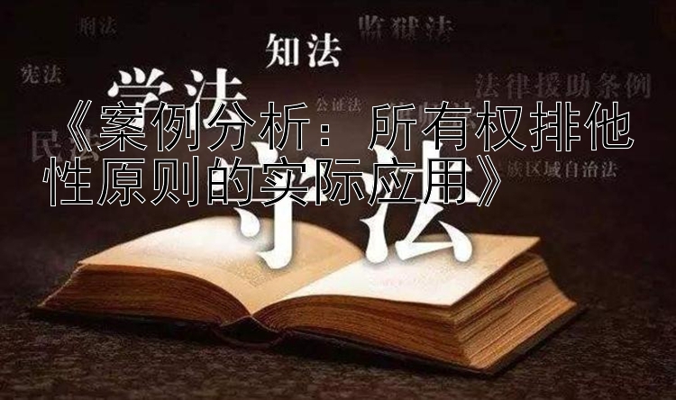 《案例分析：所有权排他性原则的实际应用》