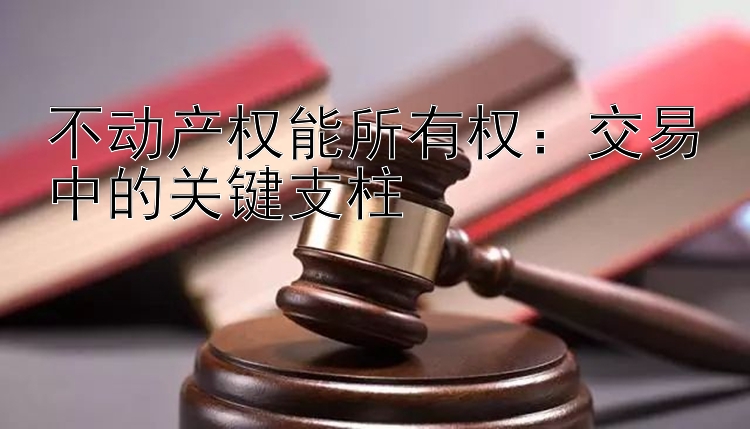 不动产权能所有权：交易中的关键支柱