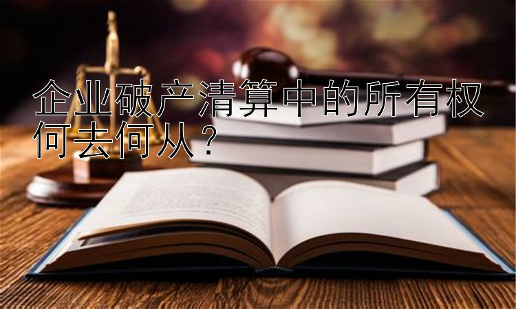 企业破产清算中的所有权何去何从？