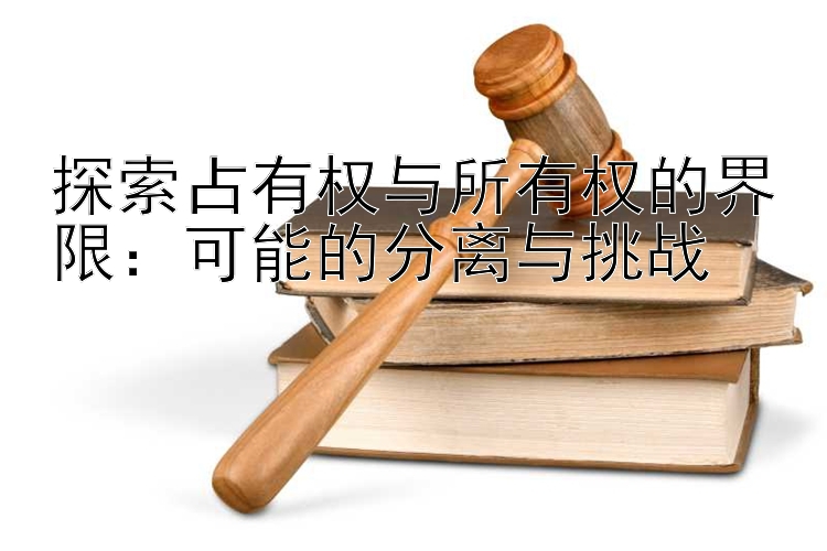 探索占有权与所有权的界限：可能的分离与挑战