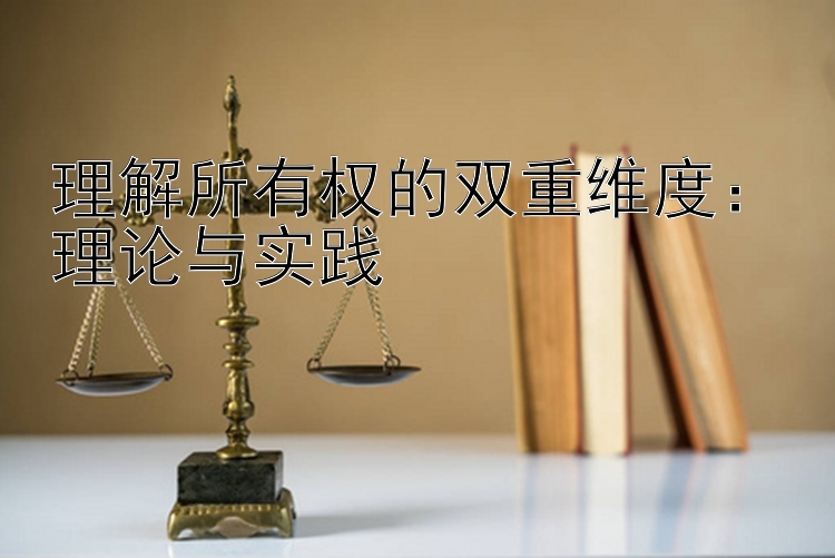 理解所有权的双重维度：理论与实践