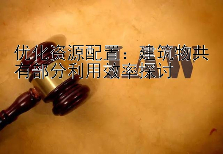 优化资源配置：建筑物共有部分利用效率探讨