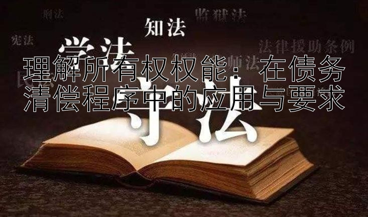 理解所有权权能：在债务清偿程序中的应用与要求