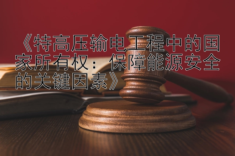 《特高压输电工程中的国家所有权：保障能源安全的关键因素》