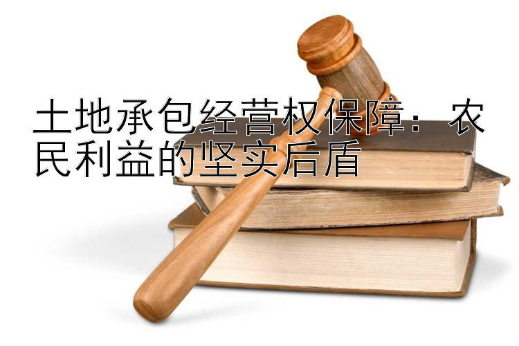 土地承包经营权保障：农民利益的坚实后盾