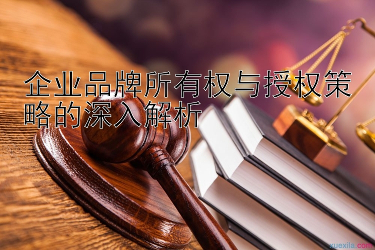 企业品牌所有权与授权策略的深入解析