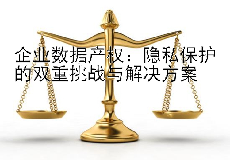 企业数据产权：隐私保护的双重挑战与解决方案