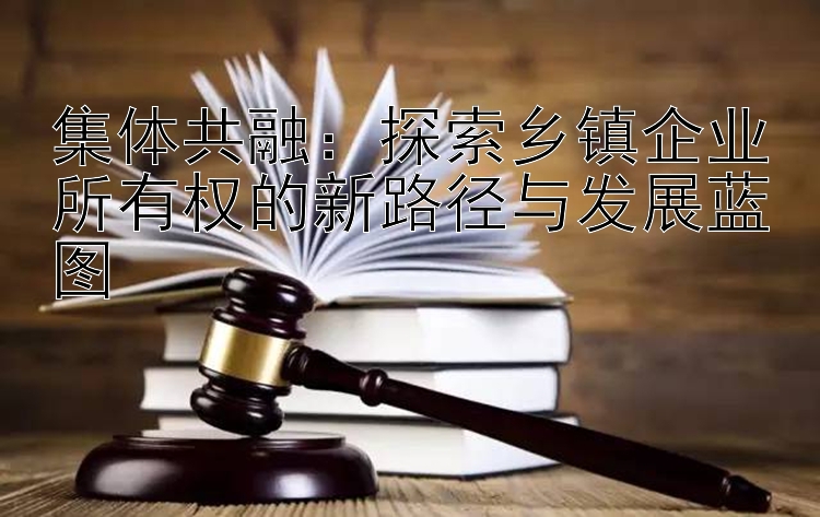 集体共融：探索乡镇企业所有权的新路径与发展蓝图