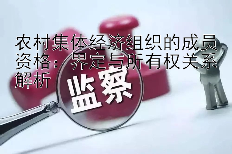 农村集体经济组织的成员资格：界定与所有权关系解析