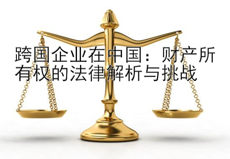 跨国企业在中国：财产所有权的法律解析与挑战