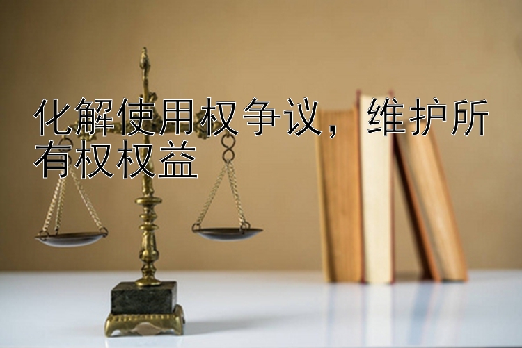 化解使用权争议，维护所有权权益