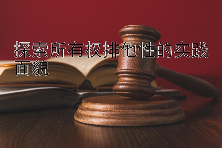 探索所有权排他性的实践面貌