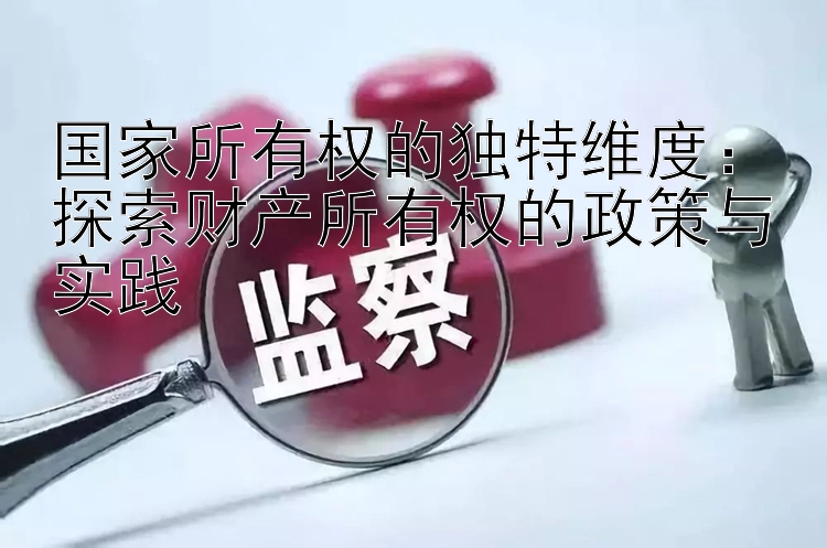 国家所有权的独特维度：探索财产所有权的政策与实践