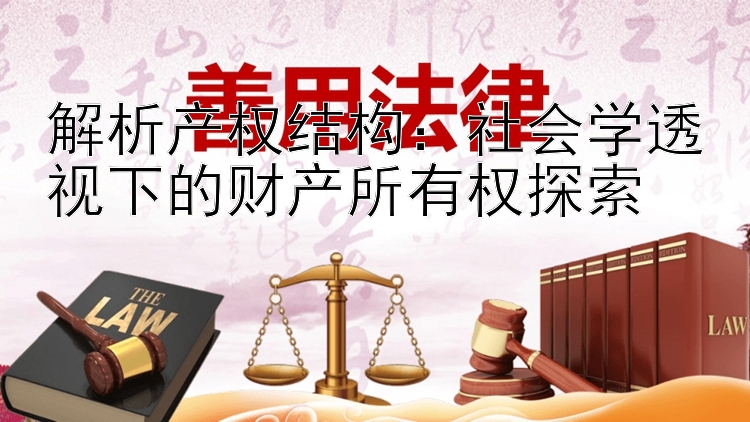 解析产权结构：社会学透视下的财产所有权探索