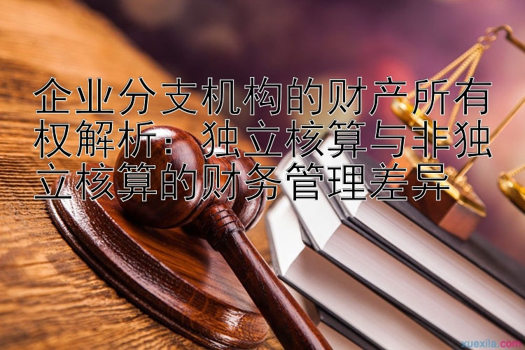 企业分支机构的财产所有权解析：独立核算与非独立核算的财务管理差异