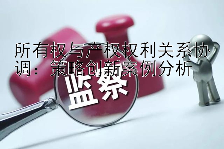 所有权与产权权利关系协调：策略创新案例分析