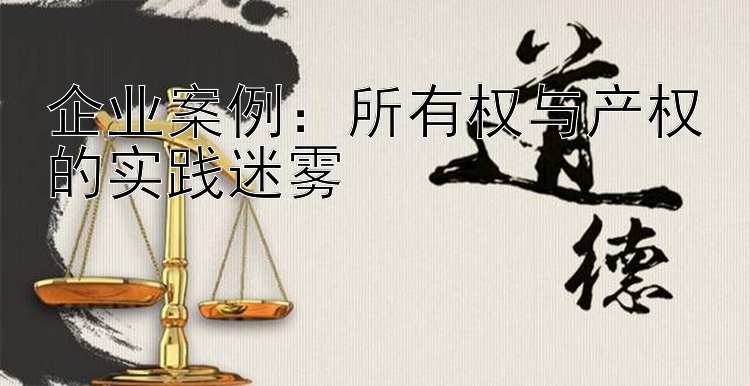 企业案例：所有权与产权的实践迷雾