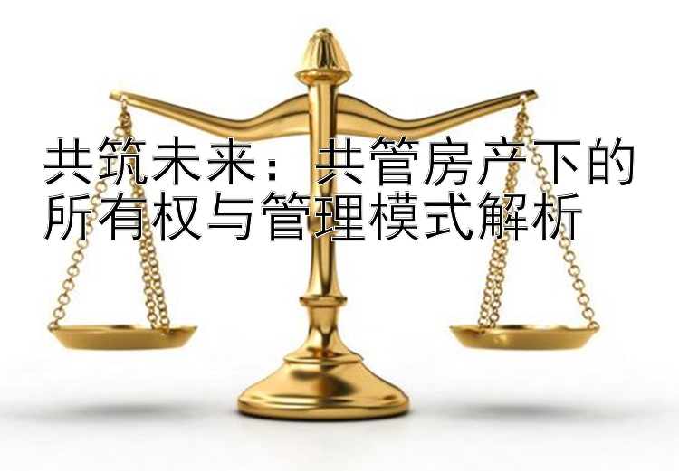 共筑未来：共管房产下的所有权与管理模式解析