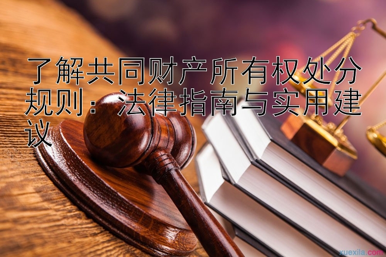 了解共同财产所有权处分规则：法律指南与实用建议