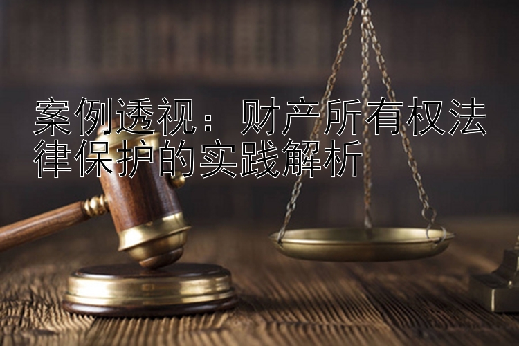 案例透视：财产所有权法律保护的实践解析