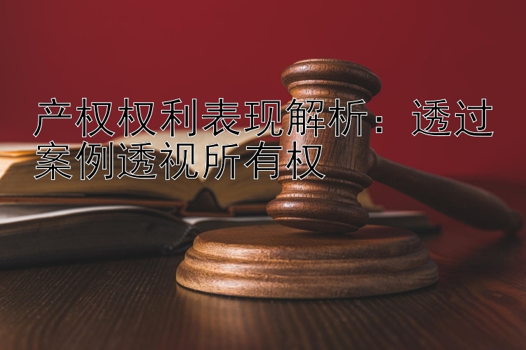 产权权利表现解析：透过案例透视所有权