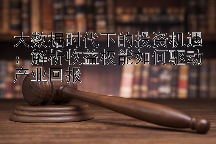 大数据时代下的投资机遇：解析收益权能如何驱动产业回报