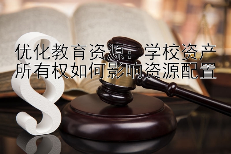 优化教育资源：学校资产所有权如何影响资源配置