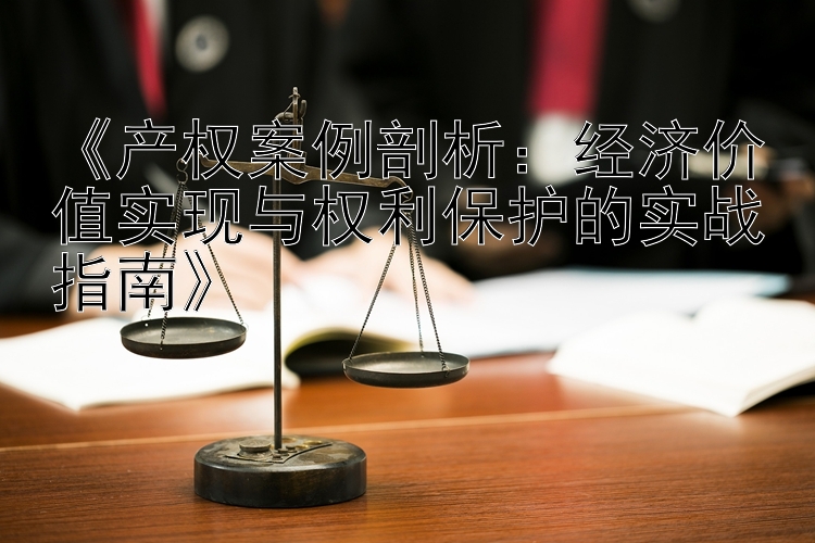 《产权案例剖析：经济价值实现与权利保护的实战指南》