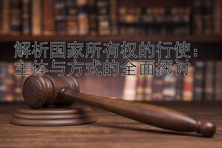 解析国家所有权的行使：主体与方式的全面探讨