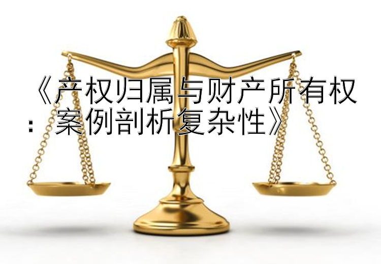 《产权归属与财产所有权：案例剖析复杂性》