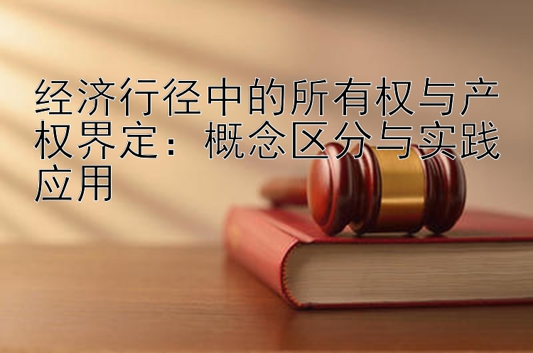 经济行径中的所有权与产权界定：概念区分与实践应用